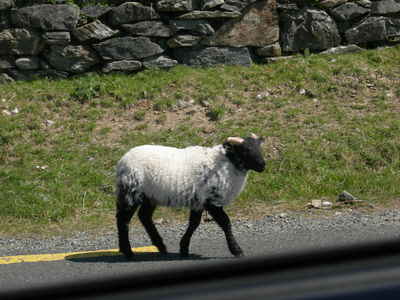 20080513Ireland0156.JPG