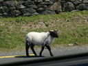 20080513Ireland0156.JPG