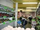20130611Ireland0167.JPG