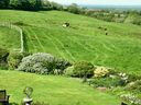 20130611Ireland0168.JPG