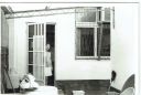 Filename=backyard.jpg
Filesize=152KiB
Dimensions=1313x886
Date added=Oct 24, 2016 backyard.jpg