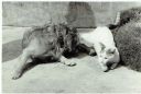 Filename=fritz_and_moses.jpg
Filesize=166KiB
Dimensions=1264x850
Date added=Oct 24, 2016 fritz_and_moses.jpg