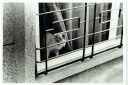 Filename=moses_behind_bars.jpg
Filesize=222KiB
Dimensions=1326x881
Date added=Oct 24, 2016 moses_behind_bars.jpg