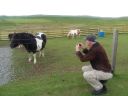 Filename=Shetland_Ponies.jpg
Filesize=479KiB
Dimensions=2048x1536
Date added=Oct 02, 2019 Shetland_Ponies.jpg